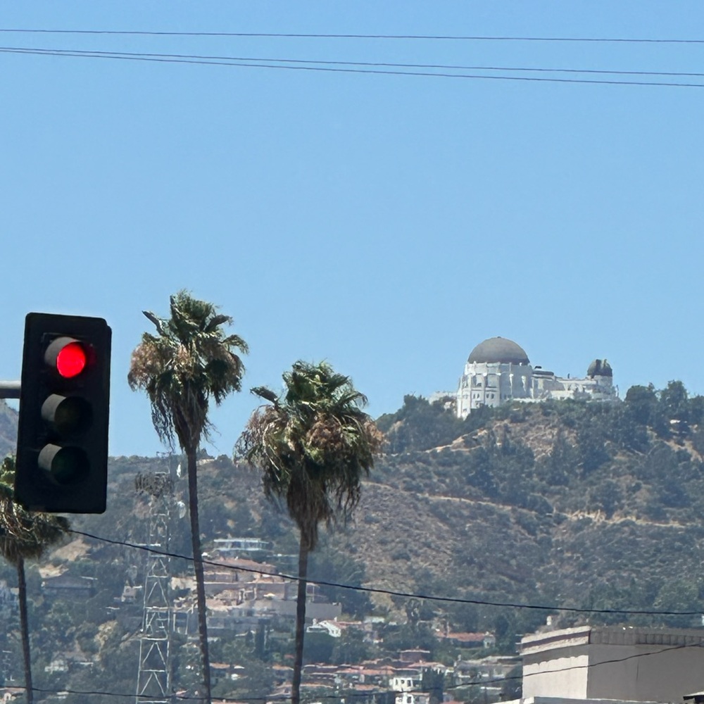 🌴 FINALLY selling a few of my pieces!